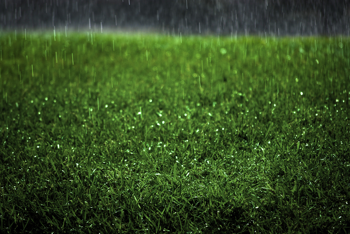 Will The Rain Harm My Synthetic Lawn In Rialto Ca Green Turf - Synthetic Grass Wallpaper