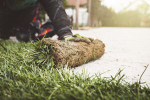Discover the Many Reasons That Artificial Turf Might Be Perfect for Your Company’s Property 